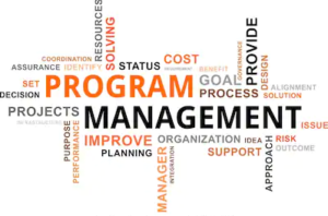 Program Management