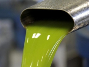 Spremitura delle Olive